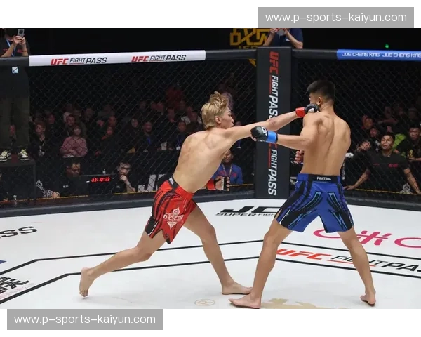 UFC：勇者的擂台与生活方式